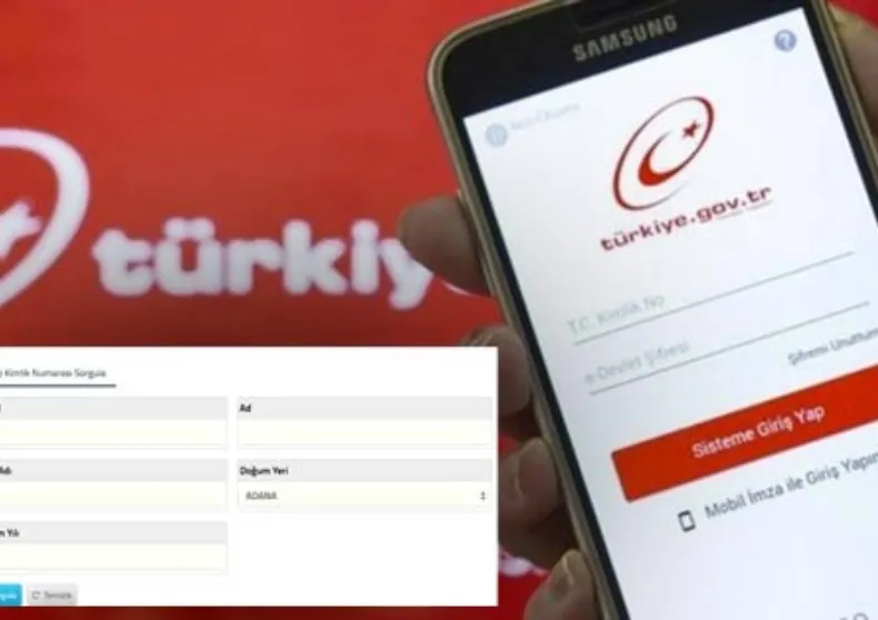 Vergi Numarası: Tanımı, Sorgulama ve Kullanım Alanları